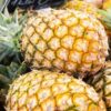 Photos ananas bio