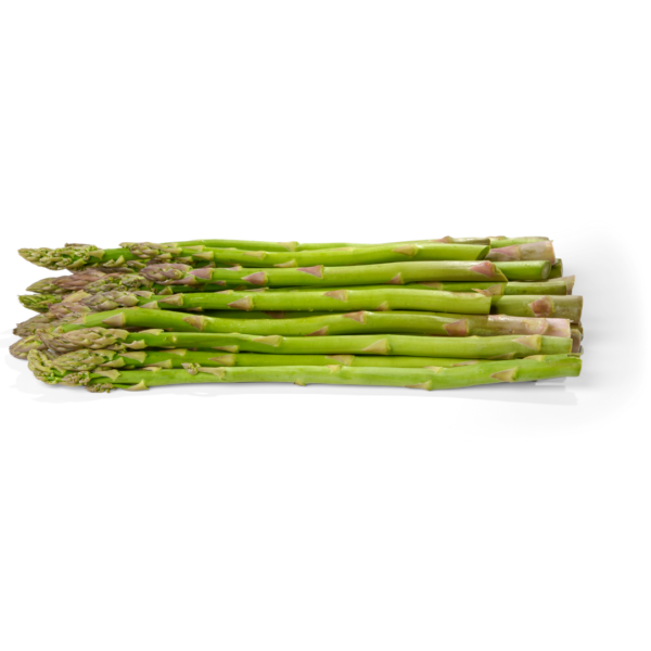 Asperges en fond blanc