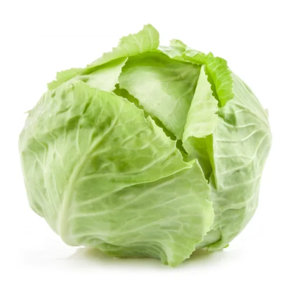 Bouquet de chou vert fond blanc
