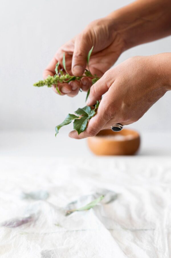 mains qui travaillent des brins d'eucalyptus