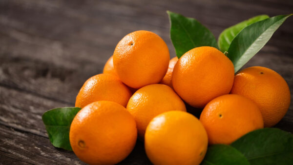Orange de saison frais mise en situation